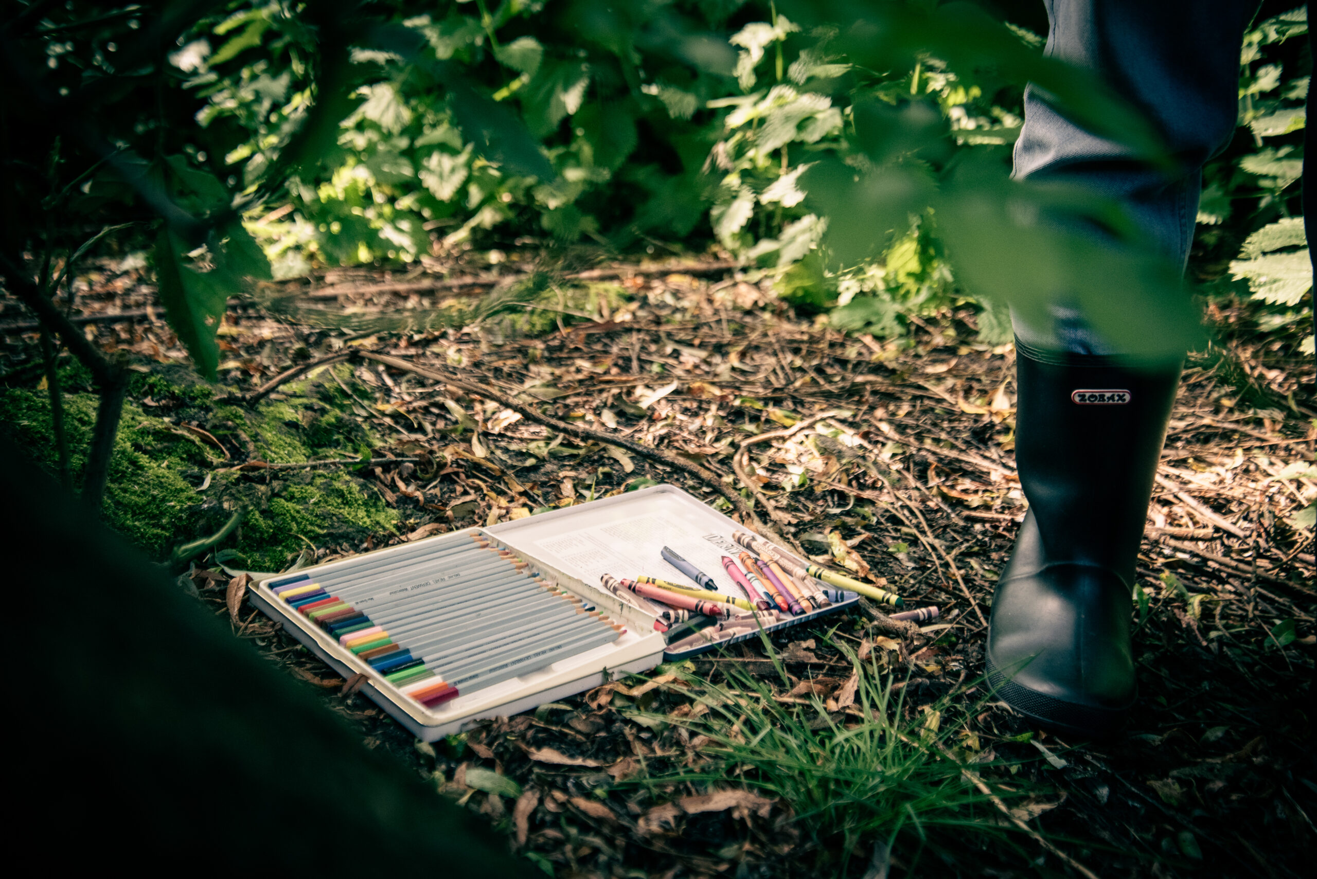 Pastels palette sits on the woodland floor. A foot in a welly boot stands beside it, both are surrounded by trees and foliage.