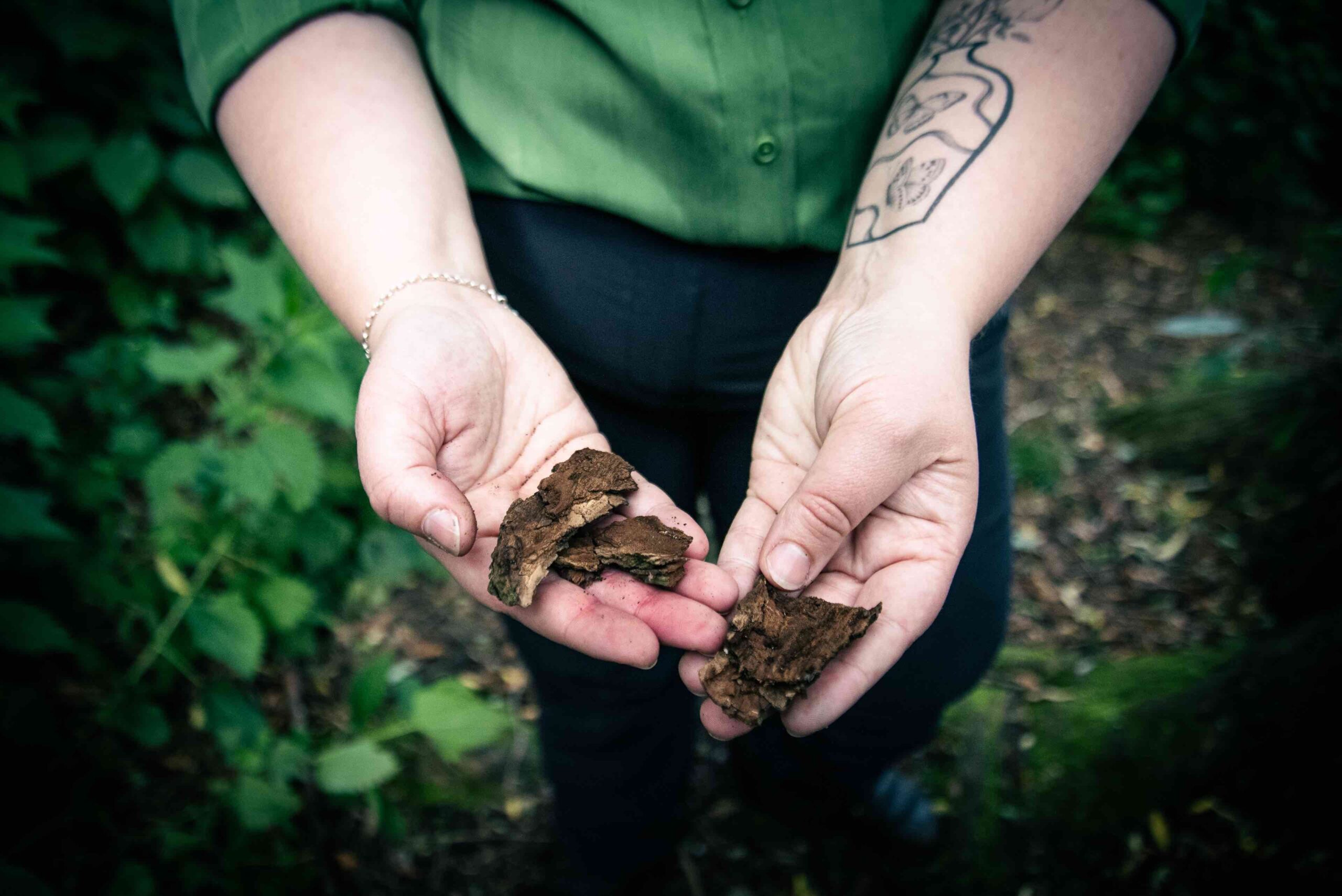 A pair of hands belonging to a white person are holding out some pieces of bark as in an offering.