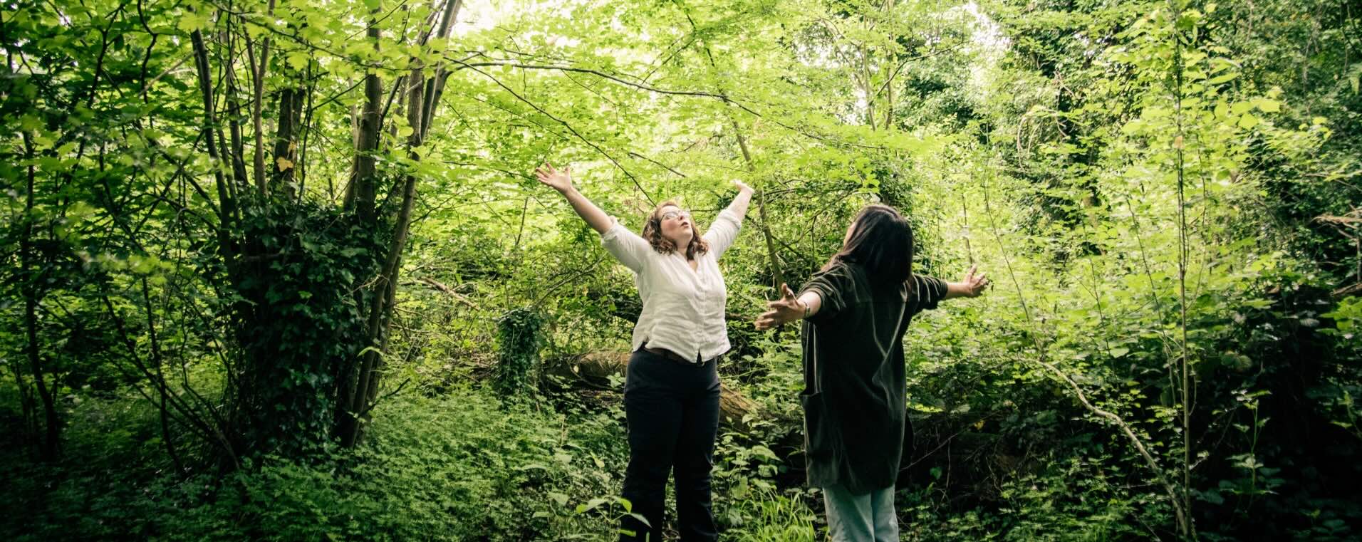 Forest bathing in Outdoor Arts Psychotherapy